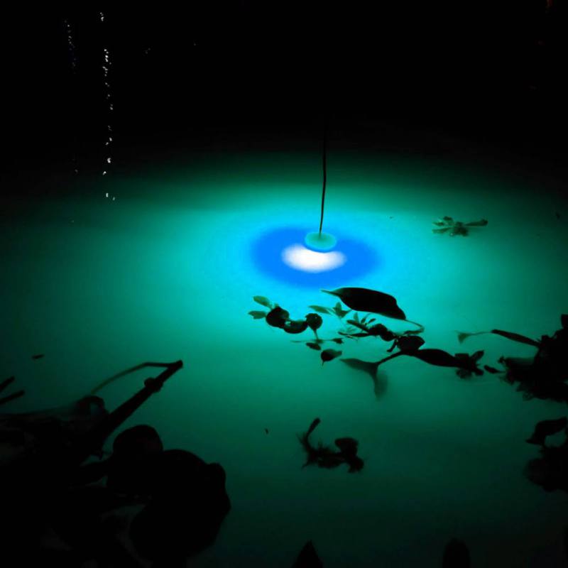Mini Fishing Attraction Lamp G - Fishing Boat Navigation Light のレビューと価格