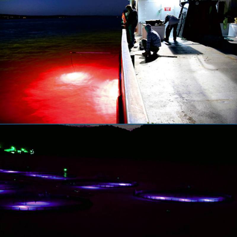 Mini Fishing Attraction Lamp G - Fishing Boat Navigation Light のレビューと価格