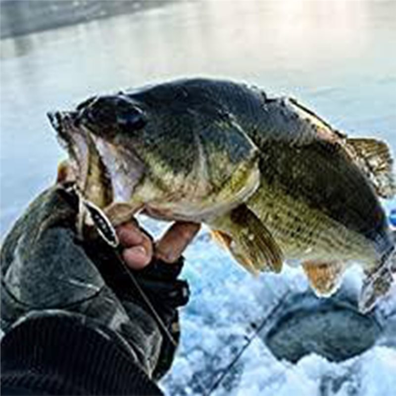 ABUE-Kayak Portable Fish Depth - Fishing Boat Depth Finder のレビューと価格