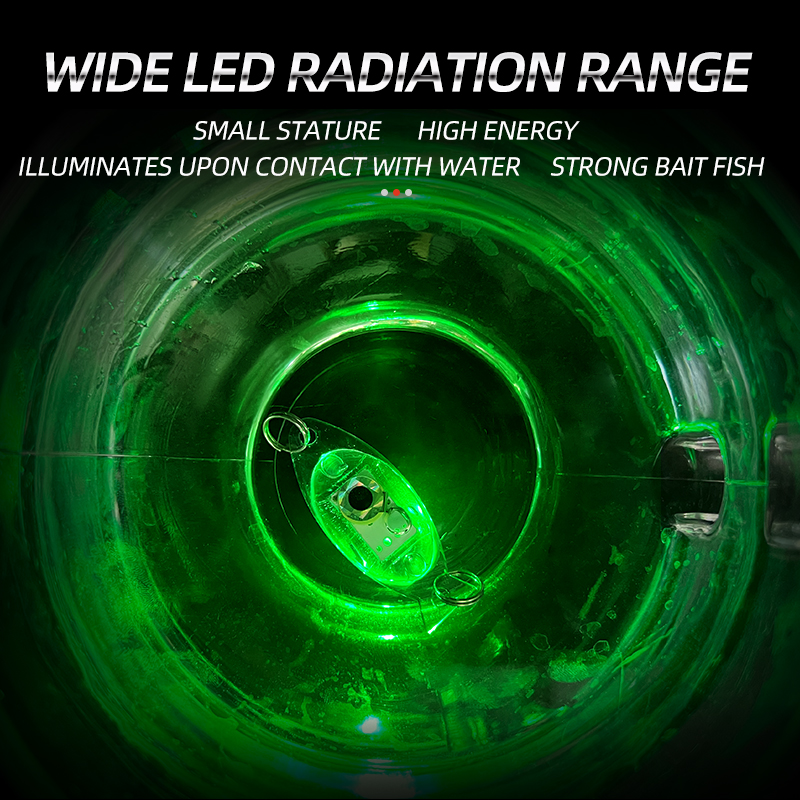 ShareShark 5pcs Deep Drop Fish - Fishing Boat Navigation Light のレビューと価格