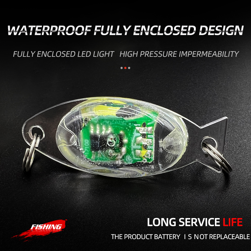ShareShark 5pcs Deep Drop Fish - Fishing Boat Navigation Light のレビューと価格