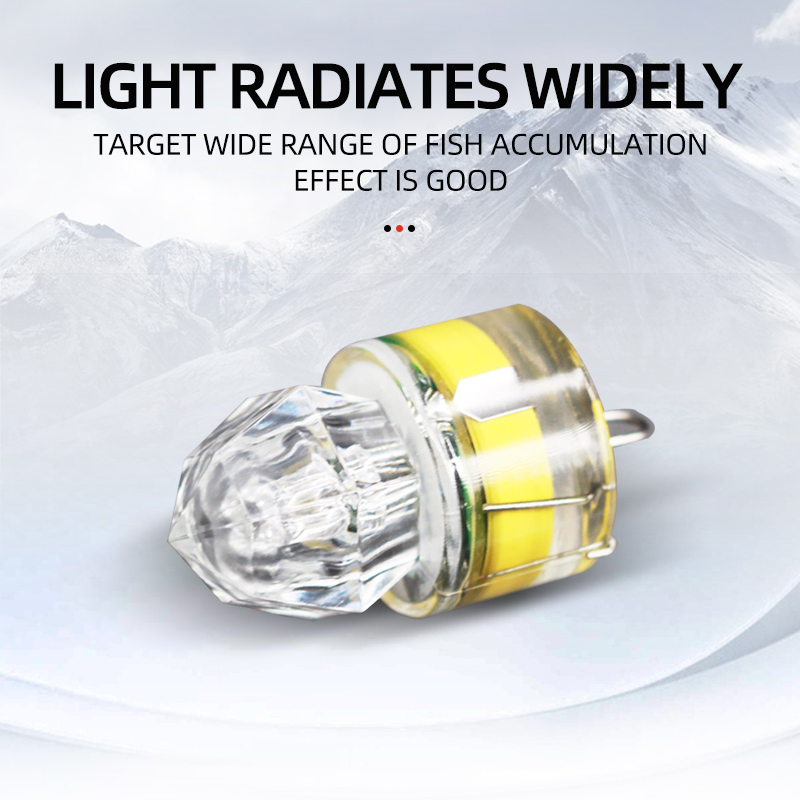 ShareShark 5pcs LED Fishing La - Fishing Boat Navigation Light のレビューと価格